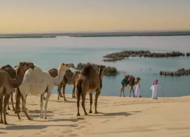 De l’Italie à l’Arabie Saoudite avec le MSC Yacht Club