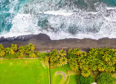 Merveilles des Caraïbes