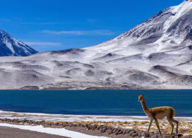 Le Chili en petit groupe : Patagonie et Atacama