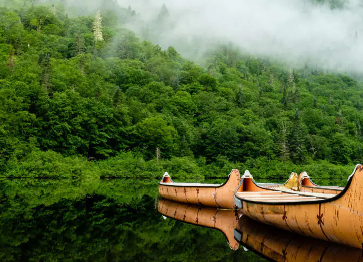 Sur les pas des peuples autochtones