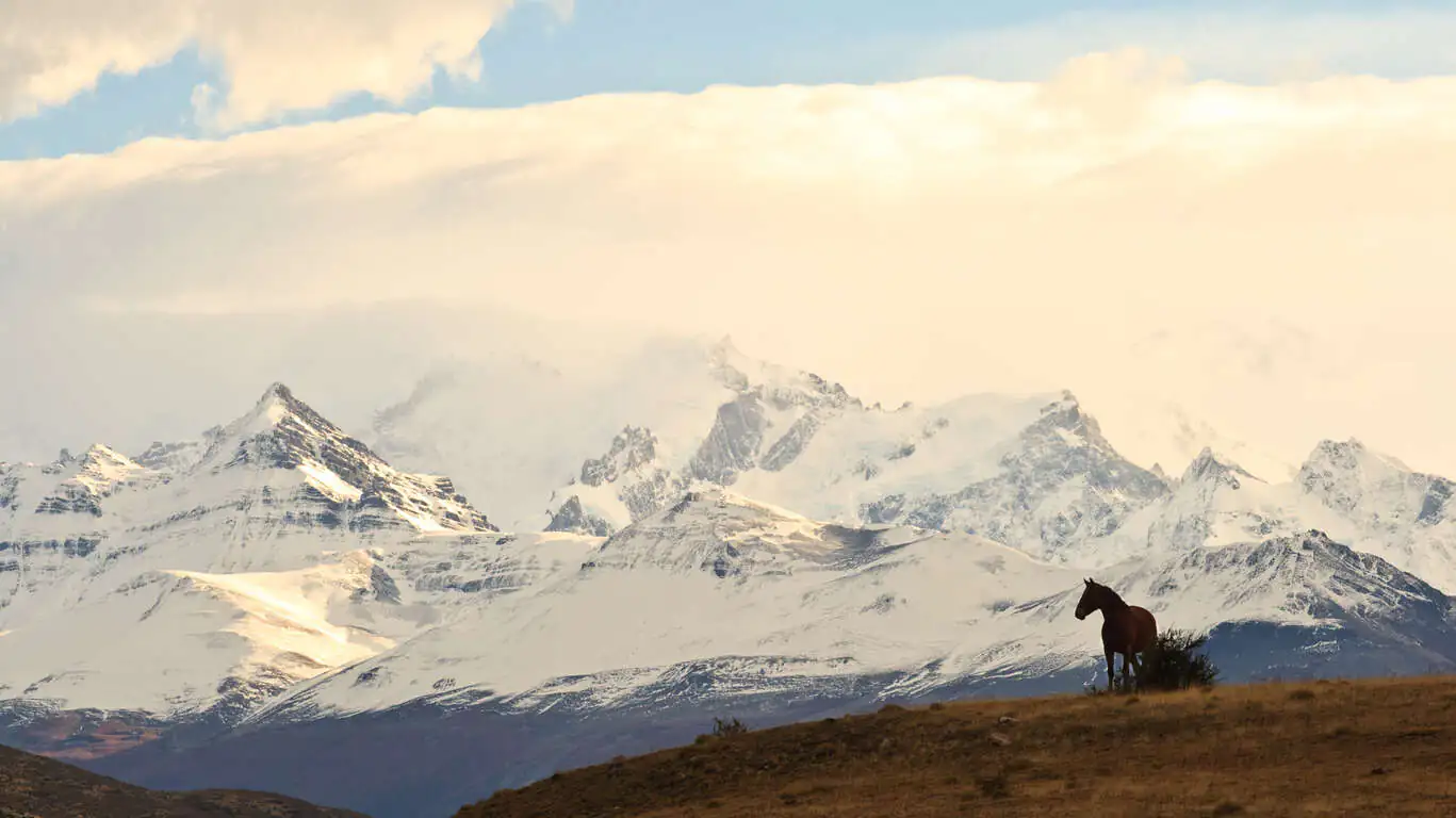 Quand partir en Argentine ?