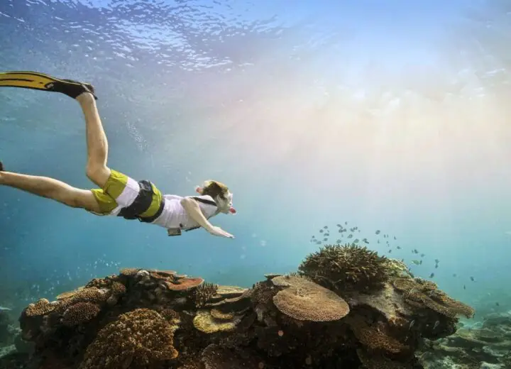 Découverte éco-responsable de l’Australie