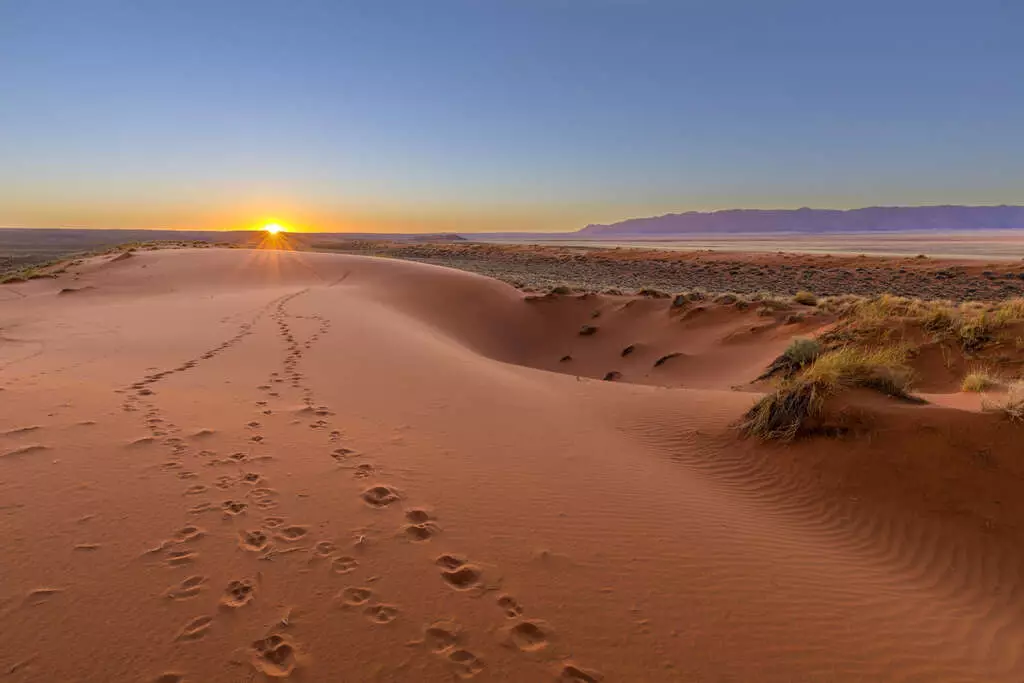 Quand partir en Namibie?