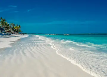 Pistes du Serengeti en petit groupe et séjour à Zanzibar