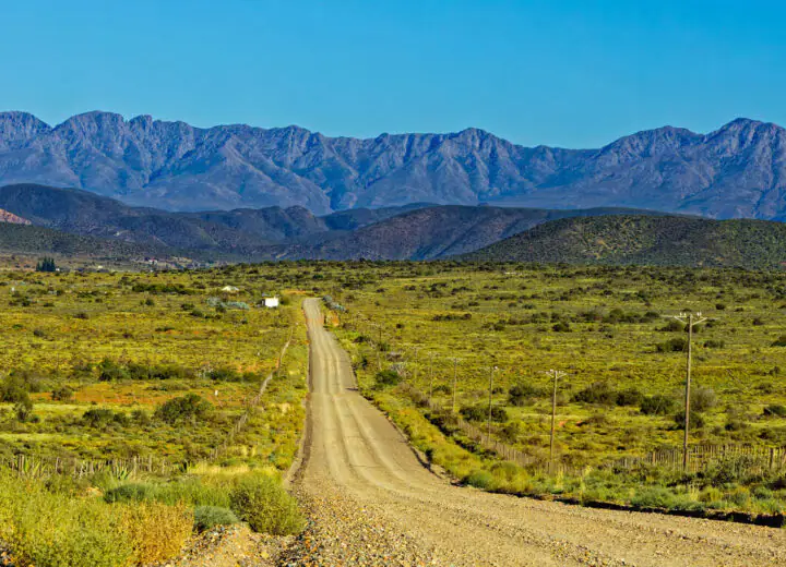 Cape Explorer : Safaris loin des foules