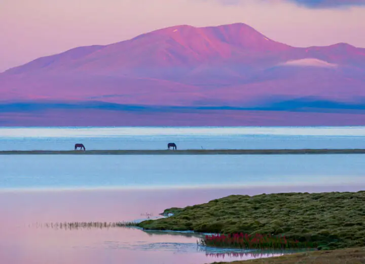 Nature Kirghize et féérie de l’Ouzbékistan