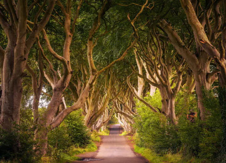 Sur les traces de Game of Thrones