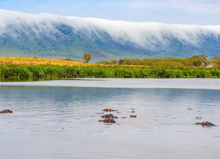 La Tanzanie pendant la saison verte