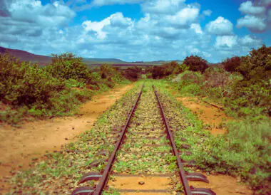 Safari responsable en train au Kenya