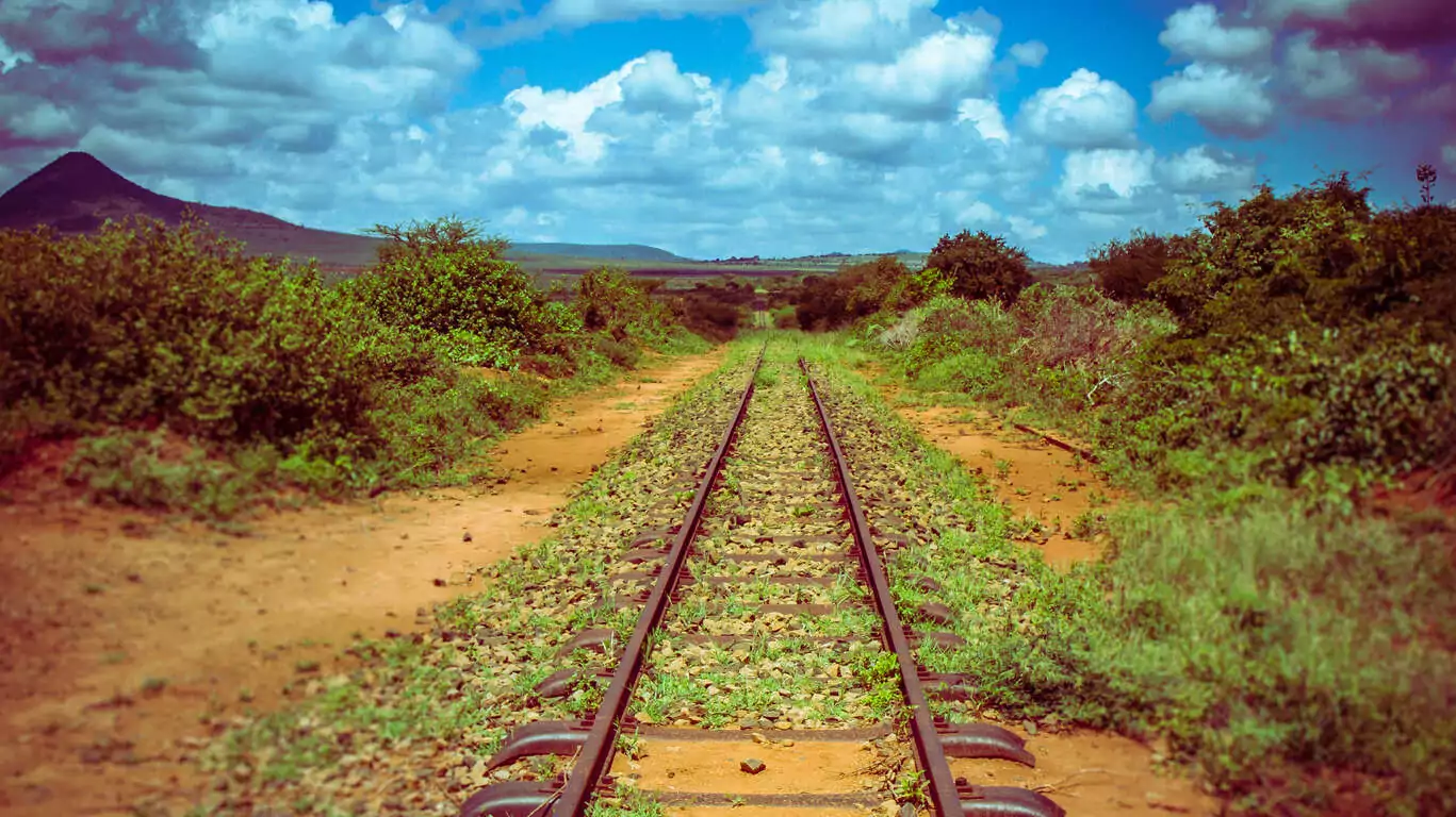 Safari responsable en train au Kenya