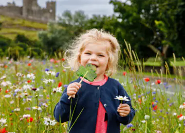 Découverte de l’Irlande en famille