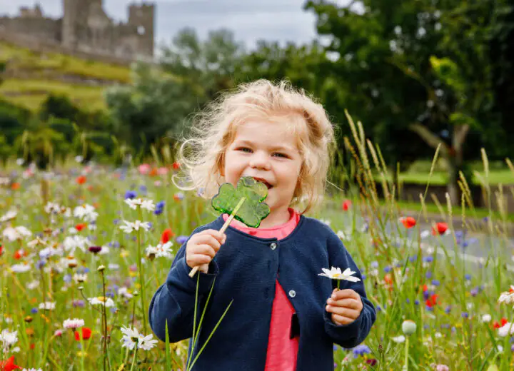Découverte de l’Irlande en famille