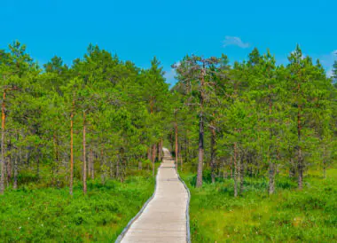 Les Essentiels de l’Estonie