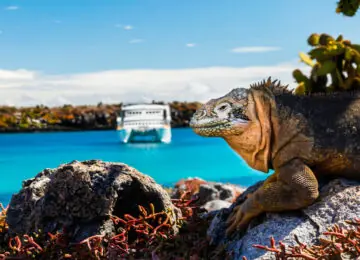 Découverte de l’Équateur authentique et croisière dans les Galapagos