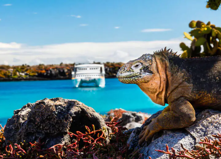 Découverte de l’Équateur authentique et croisière dans les Galapagos