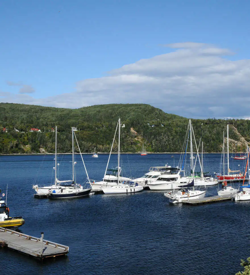 Quelle croisière aux baleines choisir à Tadoussac ?