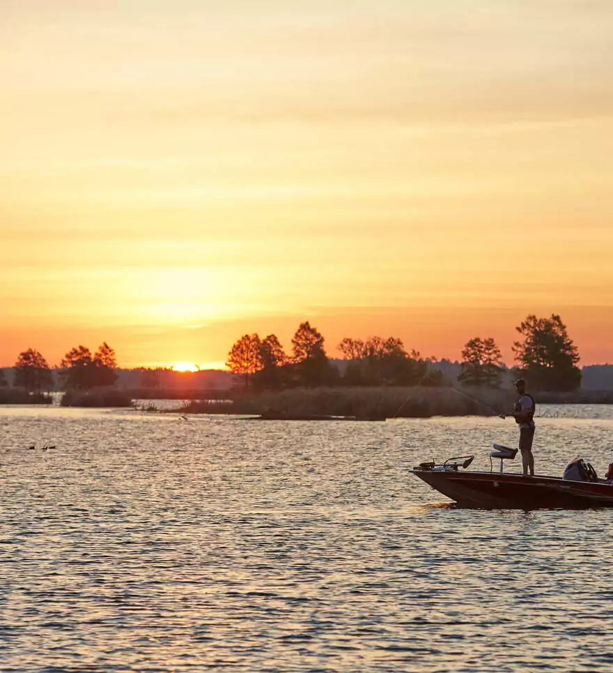 Les incontournables d'un voyage en Caroline du Sud