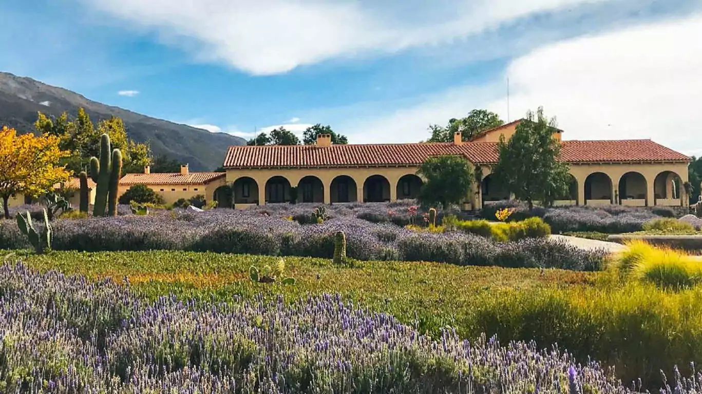 L’Argentine andine : quebradas, salars et vignobles