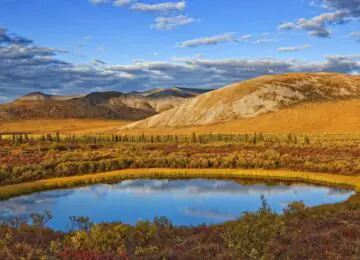 Meilleur du Yukon et de l’Alaska en petit groupe