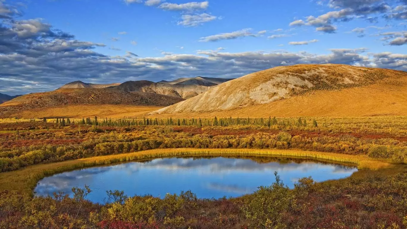 Meilleur du Yukon et de l’Alaska en petit groupe