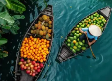 Immersion et Découvertes du Vietnam au Cambodge