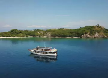 Banggai et les Nomades de la mer