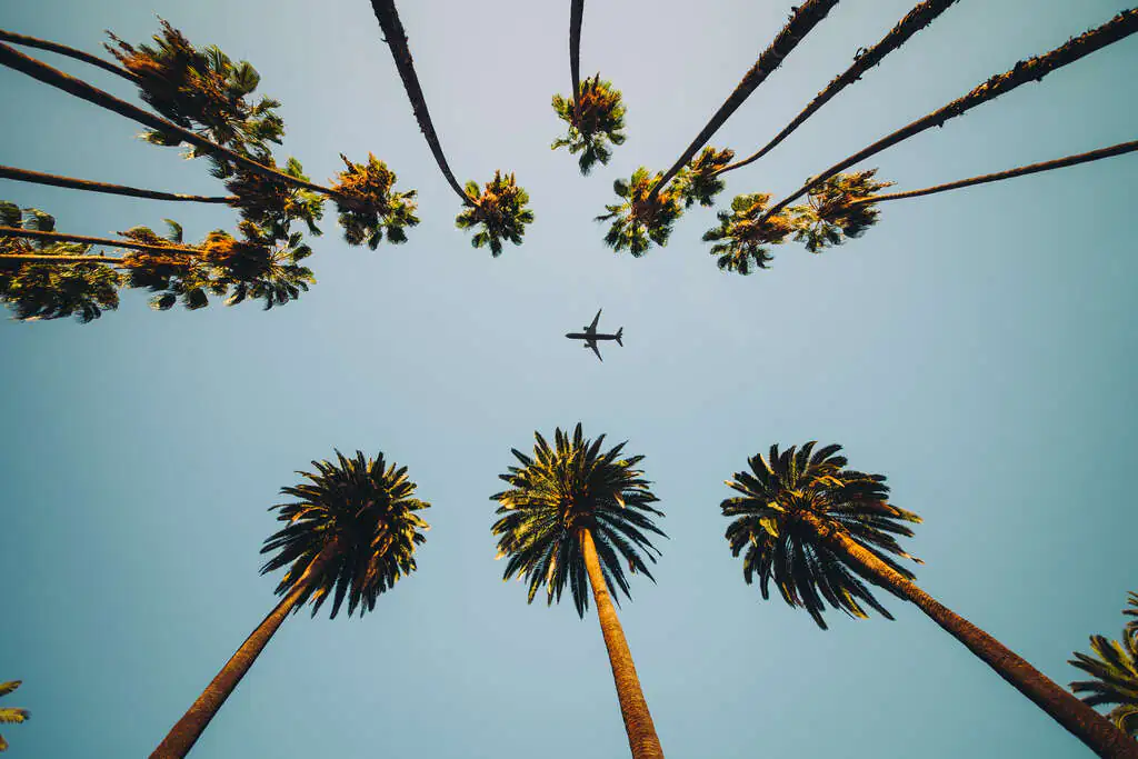  los angeles que faire