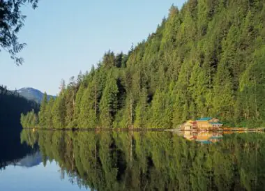 Aventure Sauvage en Colombie-Britannique