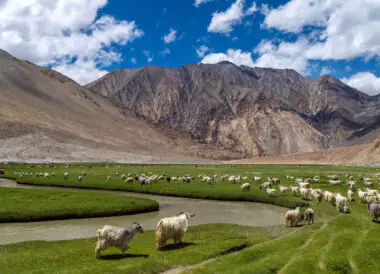 Trekking au « Pays des hauts cols »