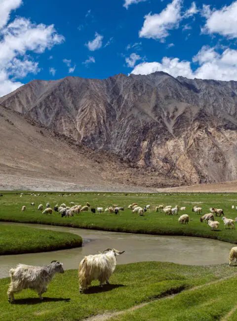 Trekking au « Pays des hauts cols »
