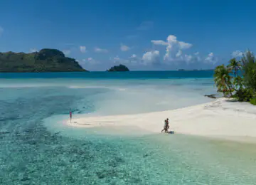 Les Iles Australes préservées