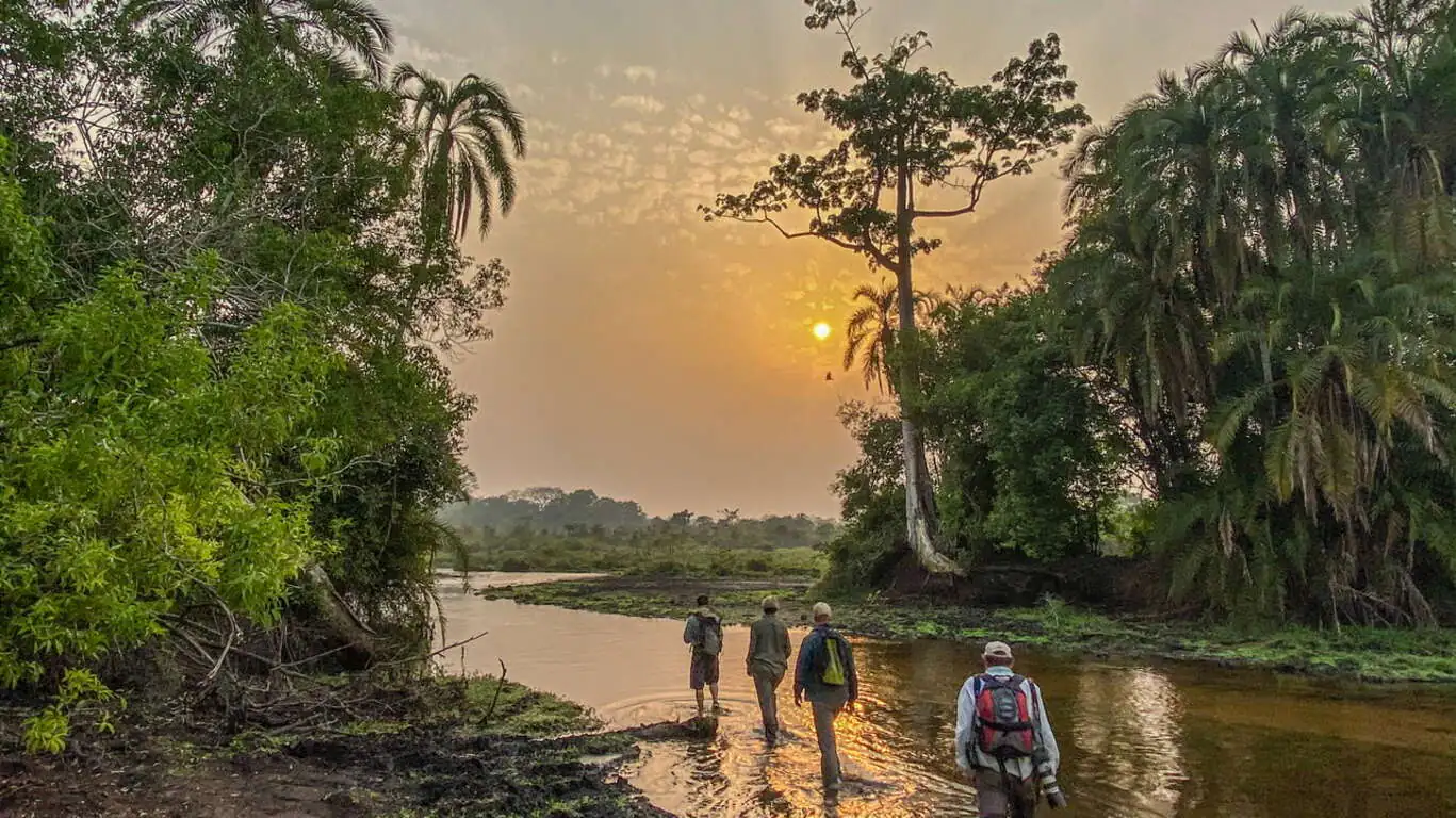 Odzala-Kokoua : trésor Caché du Bassin du Congo by Kamba