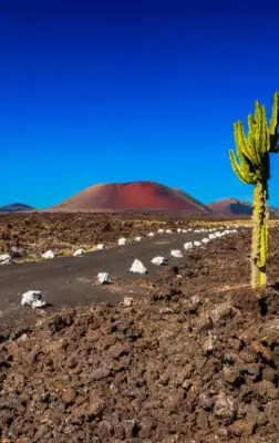 Voyage aux Îles Canaries : Lanzarote, Tenerife et la Gomera