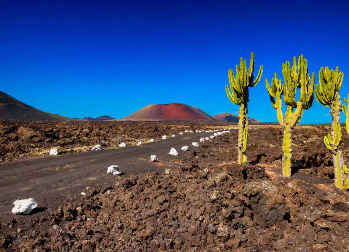 Voyage aux Îles Canaries : Lanzarote, Tenerife et la Gomera