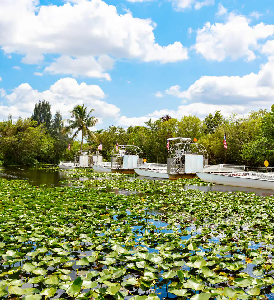Bien-être de luxe aux Etats-Unis 