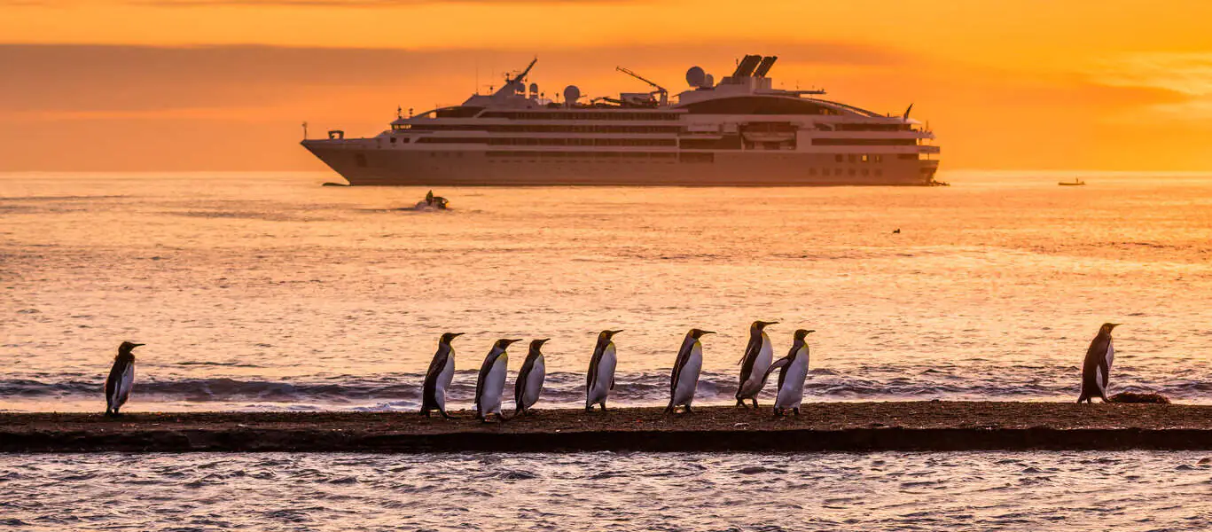 Croisières d'expédition