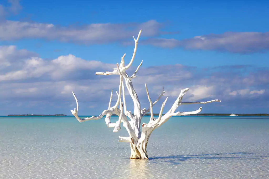 Voyage dans les Bahamas