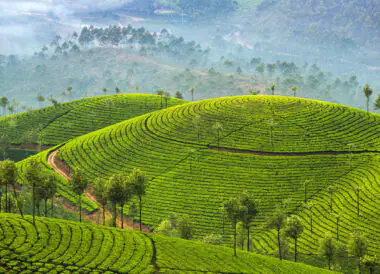 Trésors du Kerala en Petit Groupe