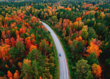 Un automne en Laponie, vivez le Ruska finlandais