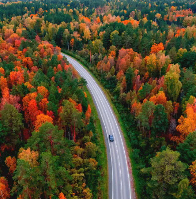 Voyage en automne en Laponie