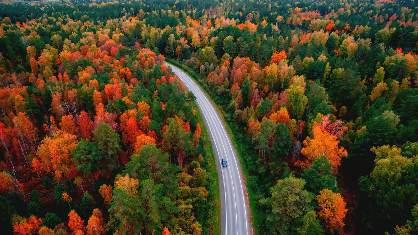 Un automne en Laponie, vivez le Ruska finlandais