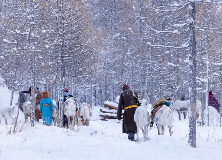 La Mongolie du nord en hiver