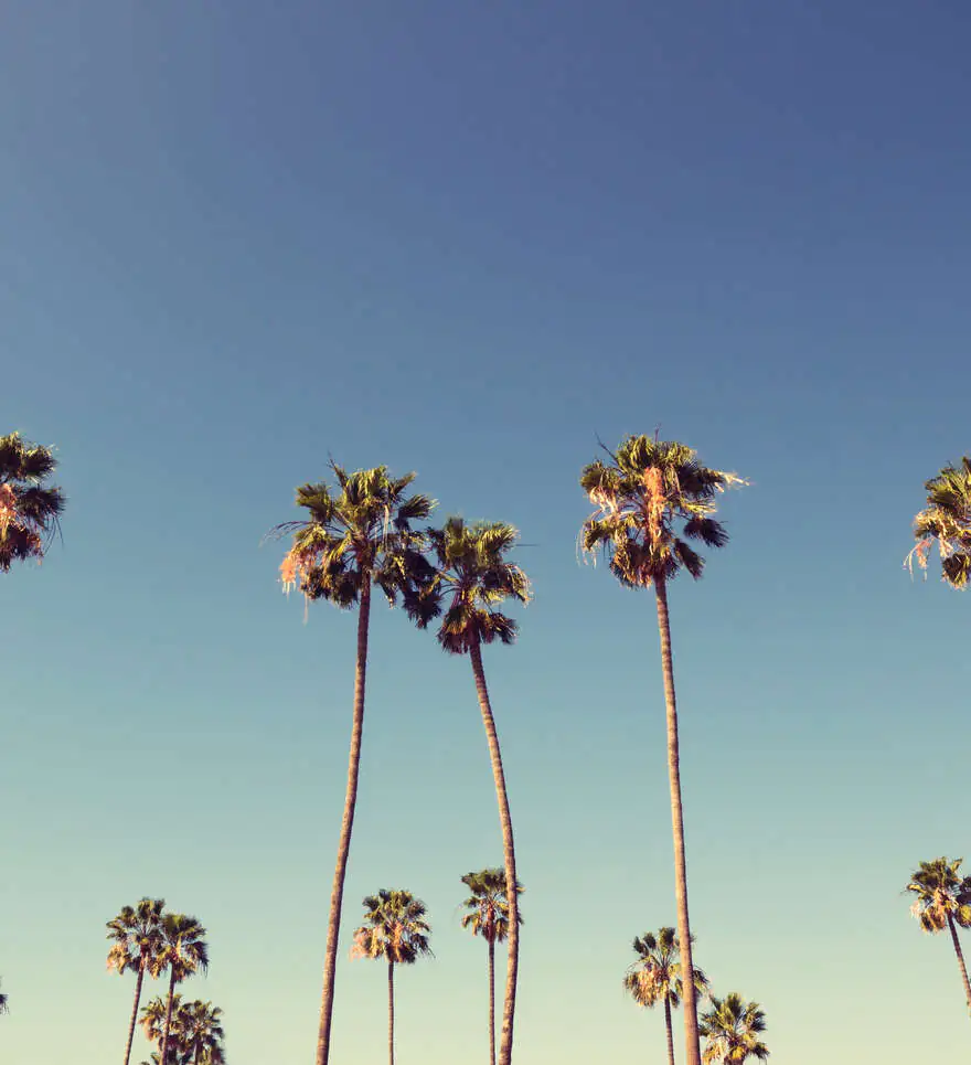 Nos offres de road trips à Los Angeles