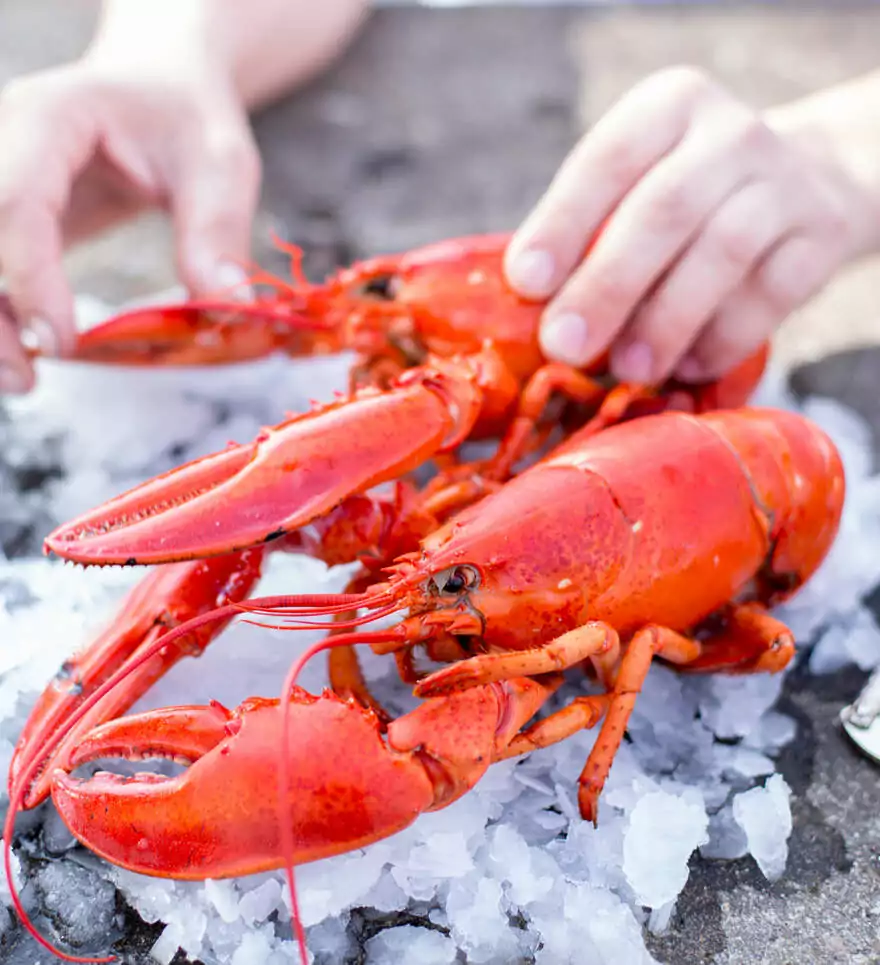 Saveurs locales et plaisirs gourmands