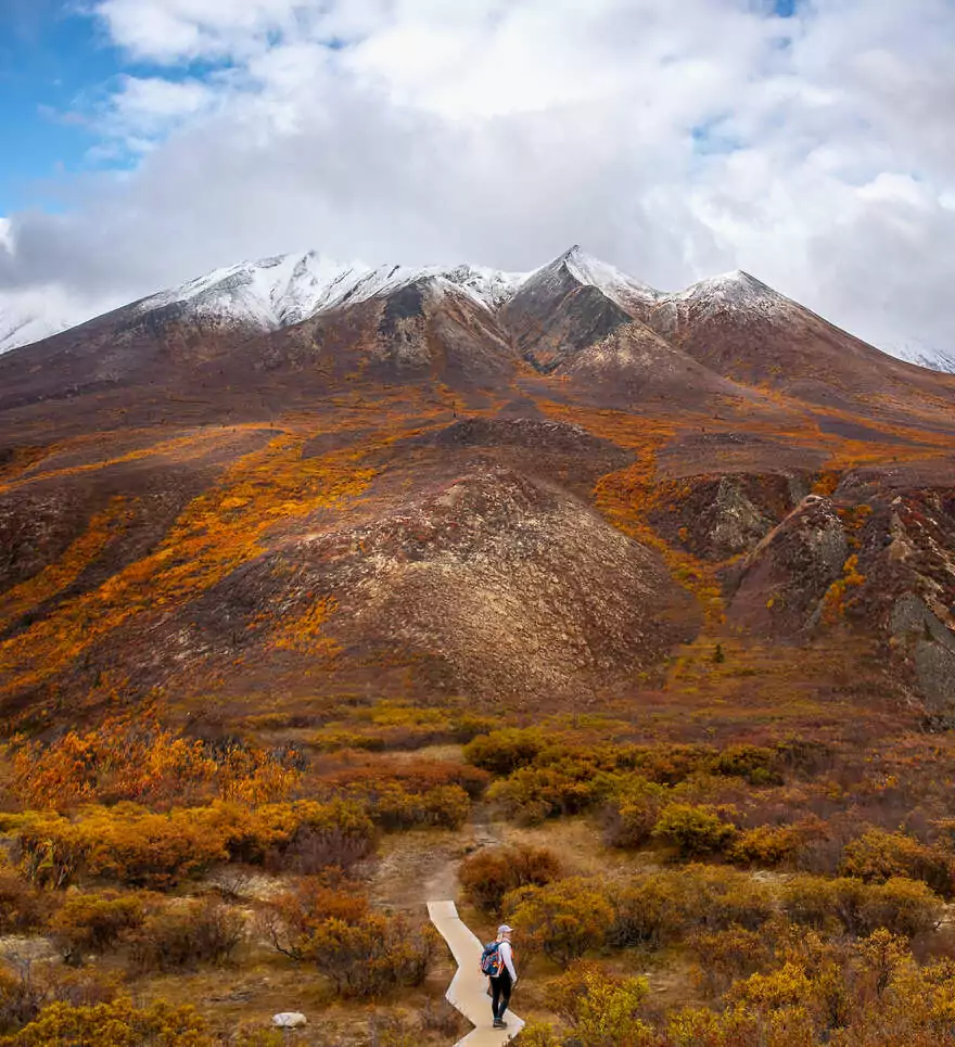 Paysages spectaculaires et faune sauvage
