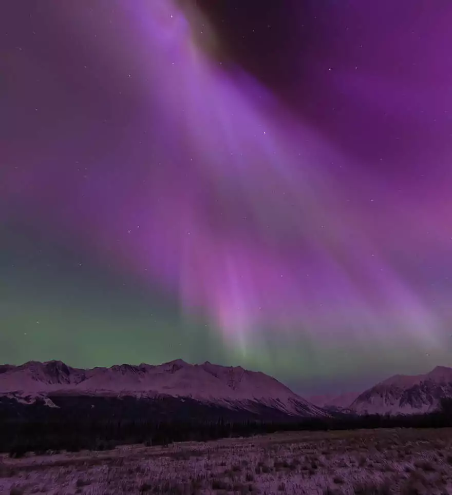 Expériences nature à vivre sur la route