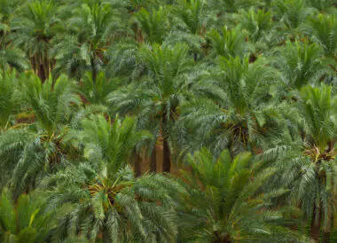 Autotour de AlUla à Riyad