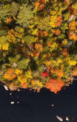 Halifax et la Nouvelle-Écosse : cap sur les grands espaces de l’Est canadien